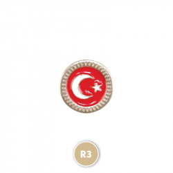 R3 Sarı Rozet