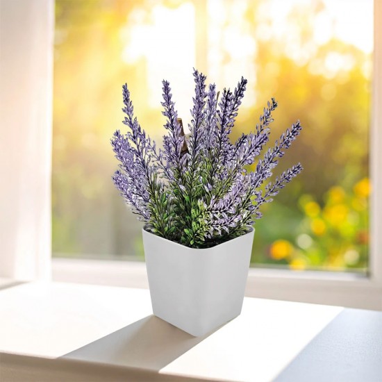 CK-2015 Bitki Yetiştirme Seti