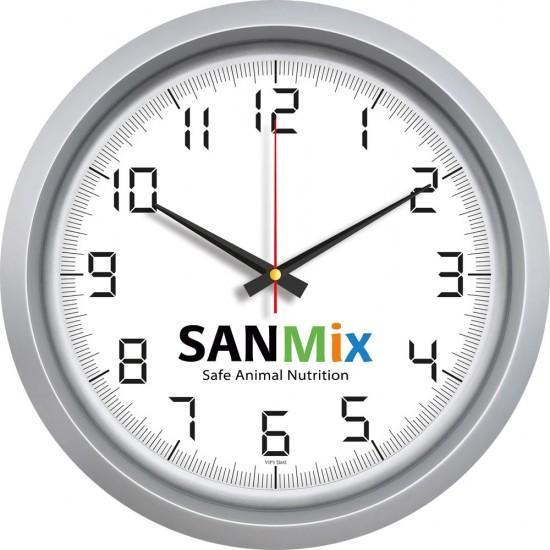 V30-551-G Plastik Duvar Saati